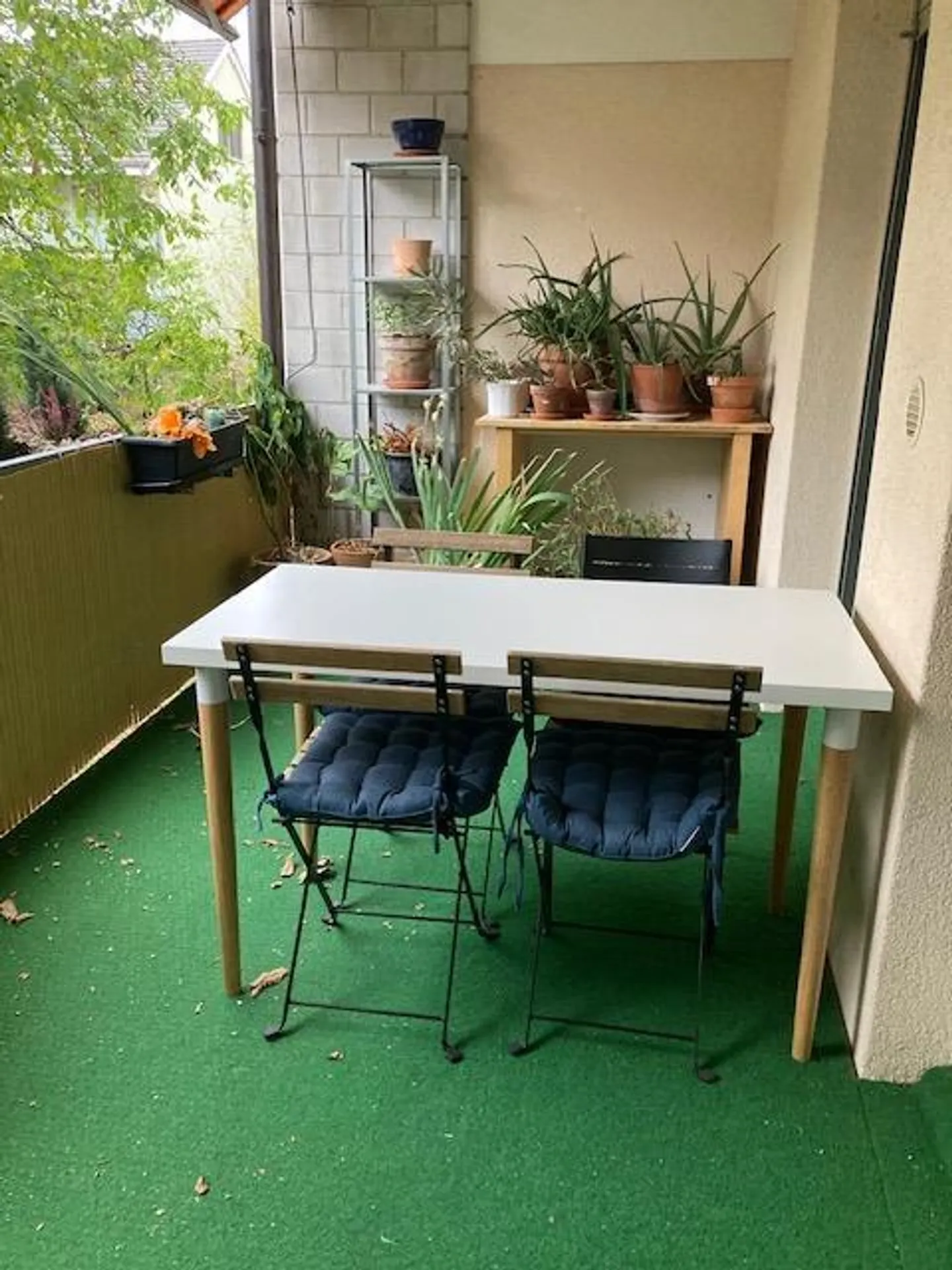 Charmante Wohnung mit Wintergarten - Foto 3 von 28