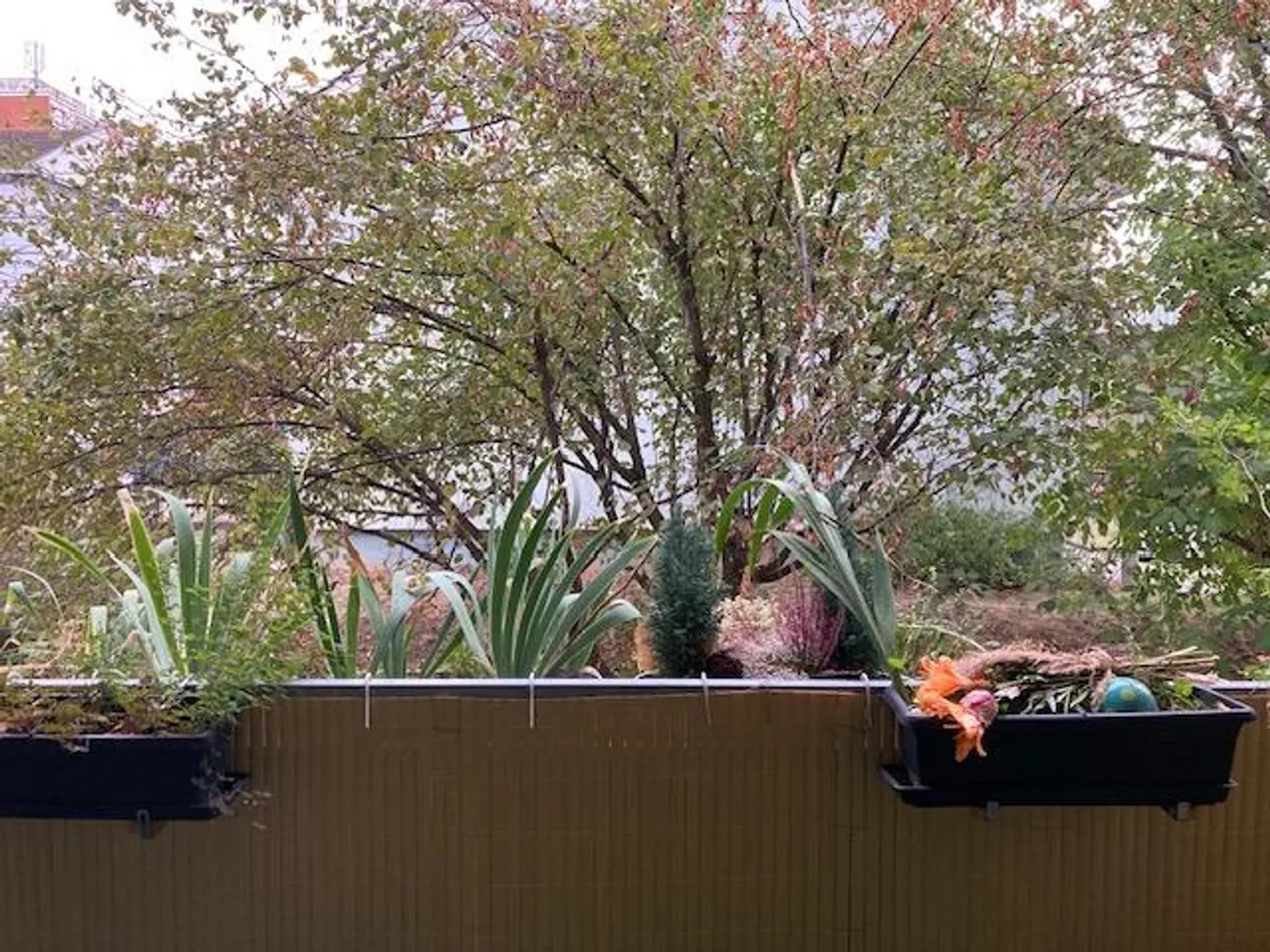 Charmante Wohnung mit Wintergarten - Foto 5 von 28