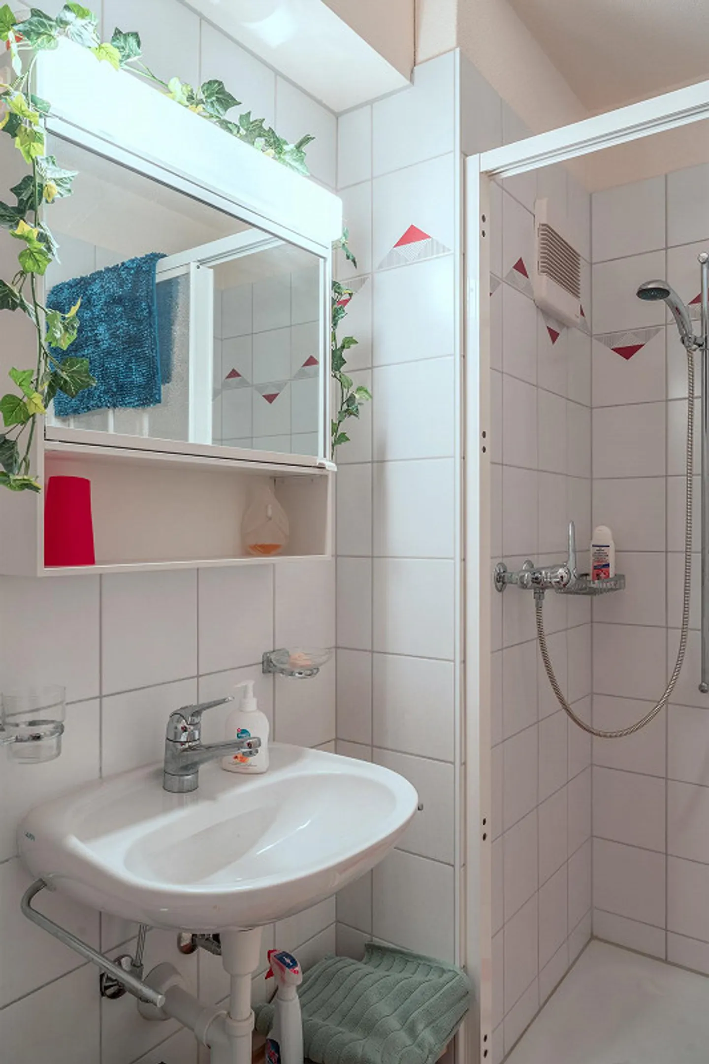 House with two apartments - Photo 16 of 16