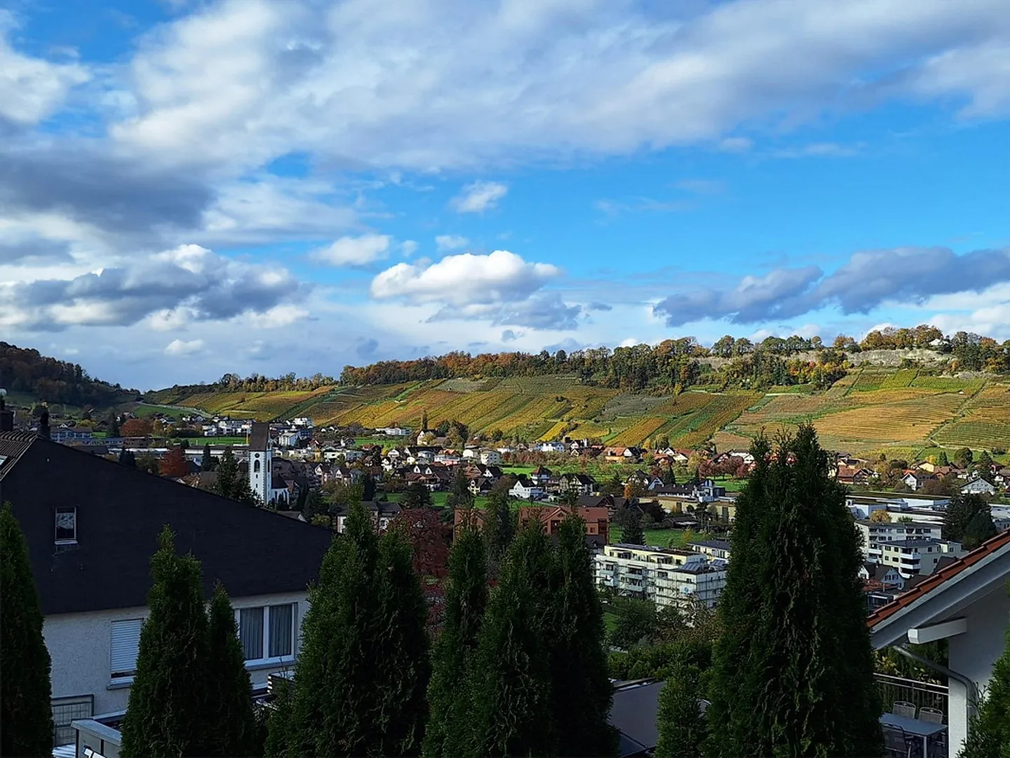 Charmantes Renovationsobjekt mit Weit- und Bodenseesicht - Foto 3 von 10