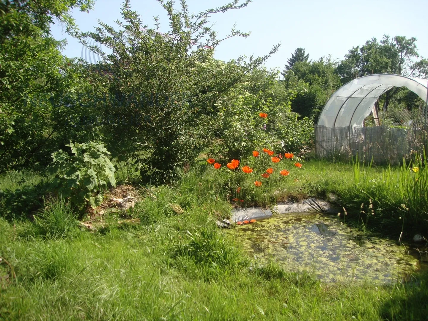 Ampio appartamento in una fattoria splendidamente ristrutturata. - Foto 16 di 17