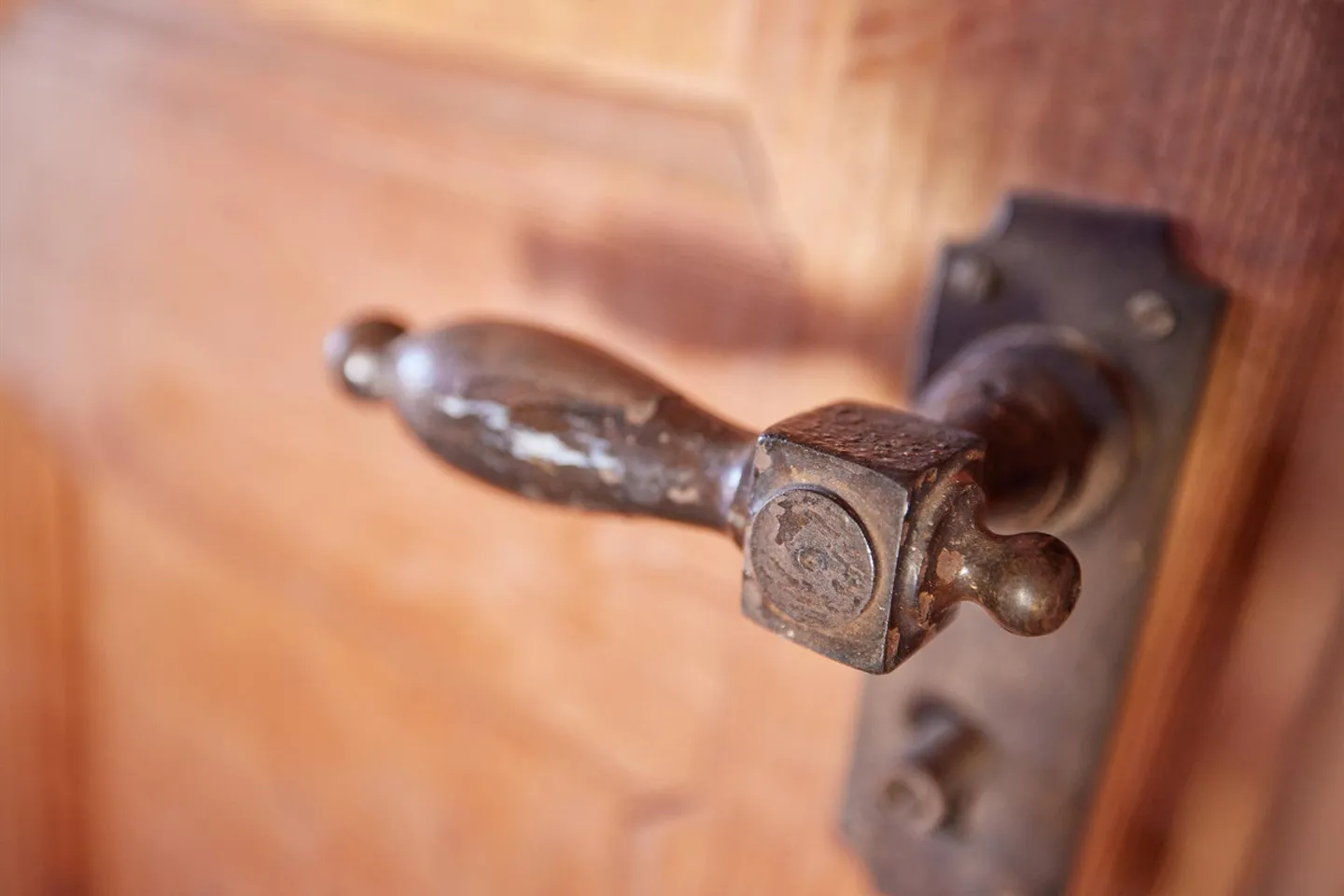 Fattoria con progetto di ristrutturazione e ampliamento approvato - Foto 17 di 30