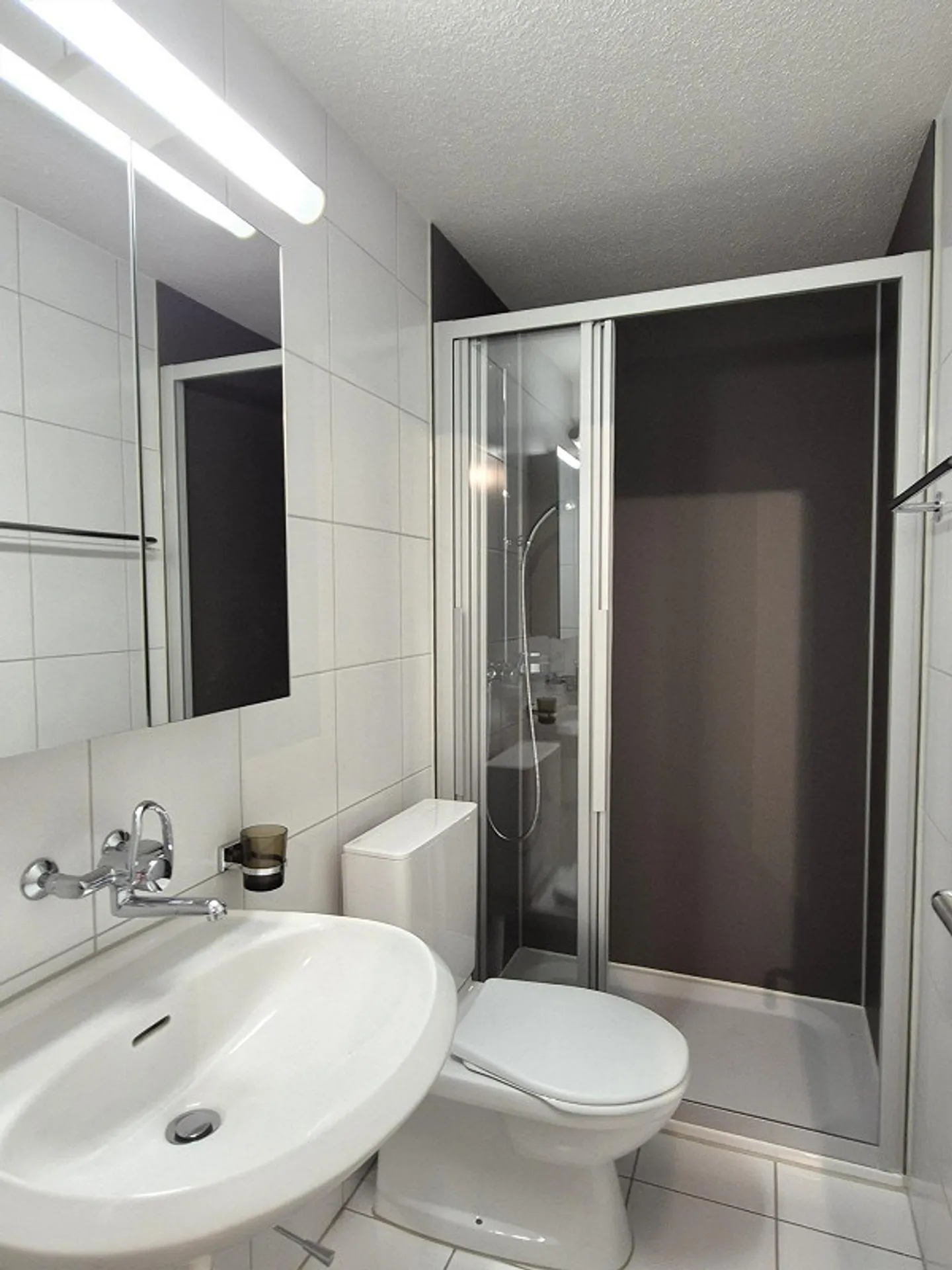 COPY - Spacious 2.5 Room Apartment with Well-Maintained Garden Patio - Photo 5 of 7