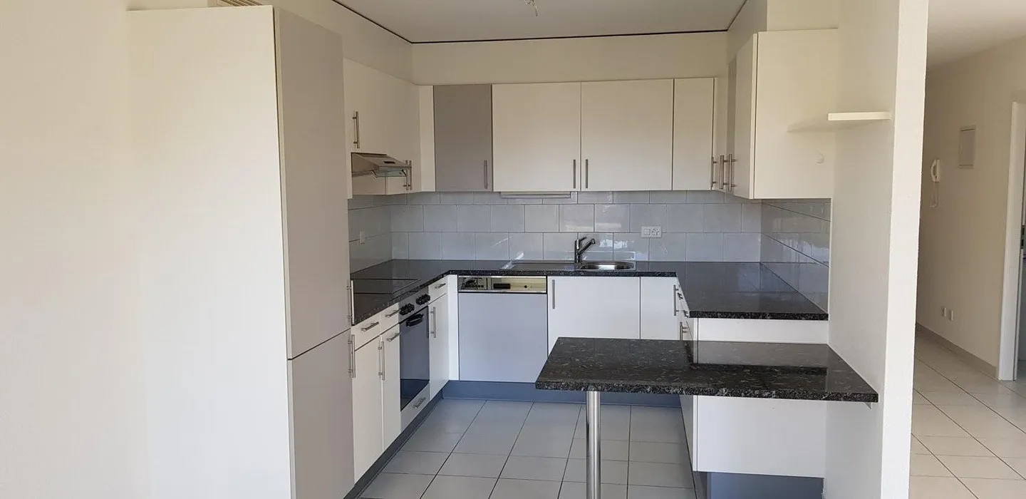 Charming 4.5 rooms in a very family-friendly neighborhood - Photo 3 of 10