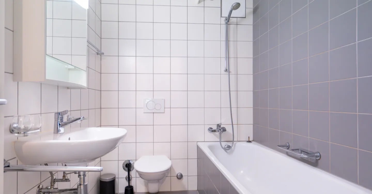 Appartamento 2.5 camere affascinante - Foto 7 di 7