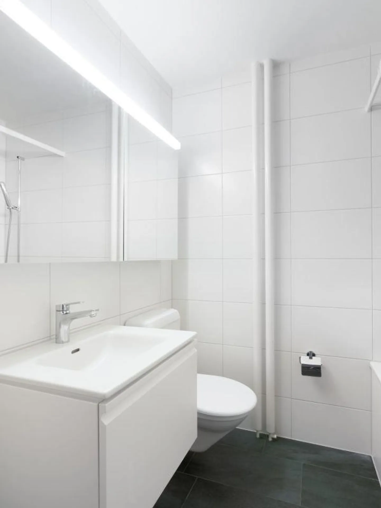 Geräumige Wohnung mit Gartenschwimmbad - Foto 9 von 12