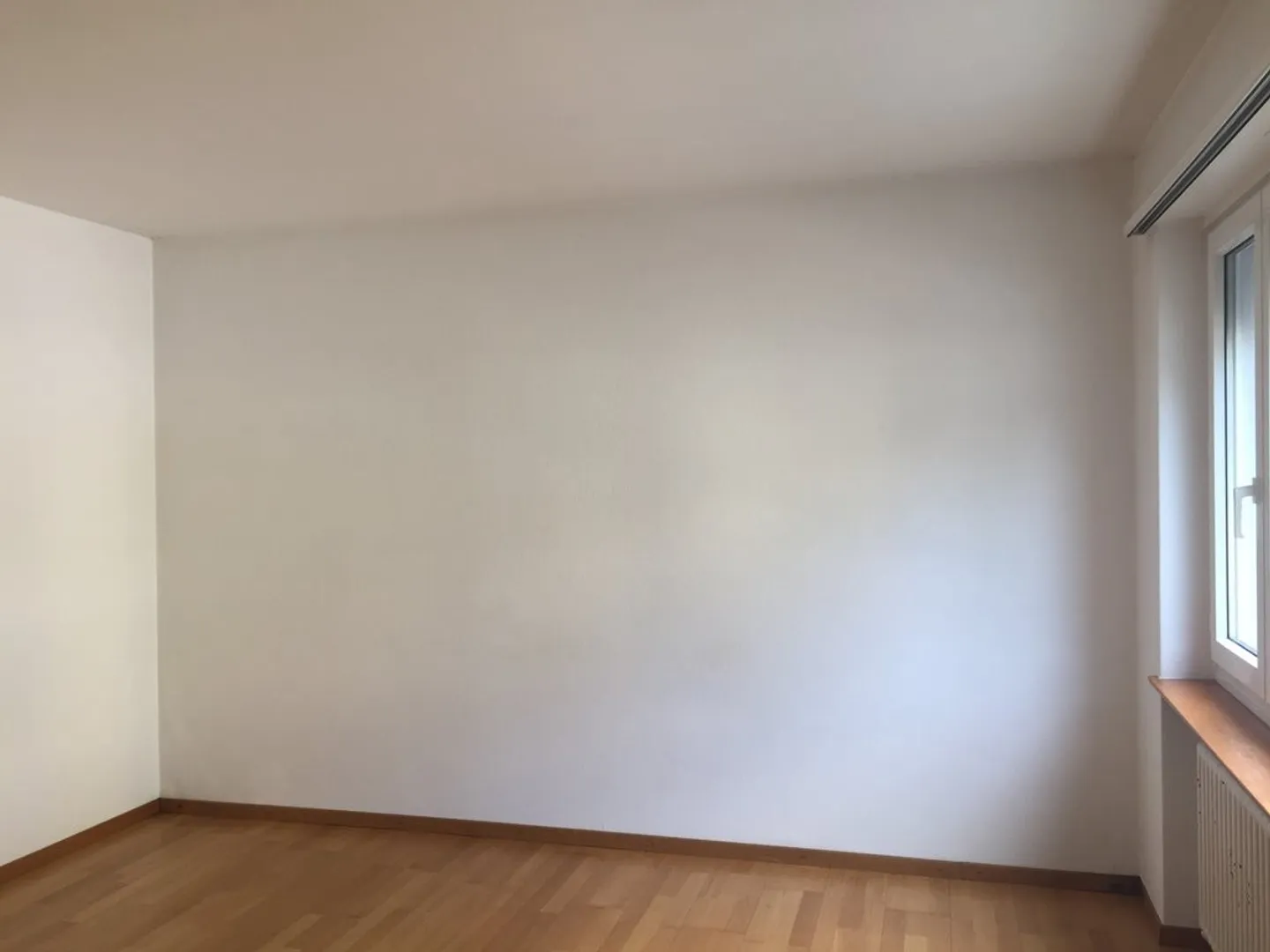 Stiamo cercando proprio te - Foto 3 di 7