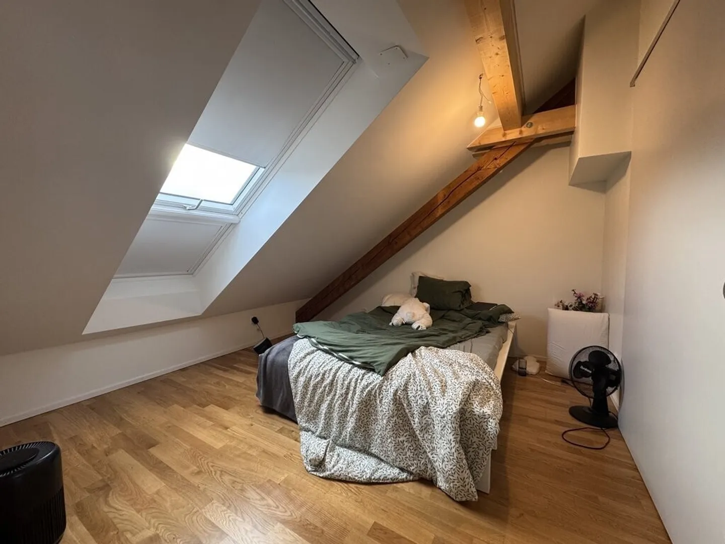 Bel appartement de 3 pièces dans les combles avec poutres apparentes - Photo 6 sur 8