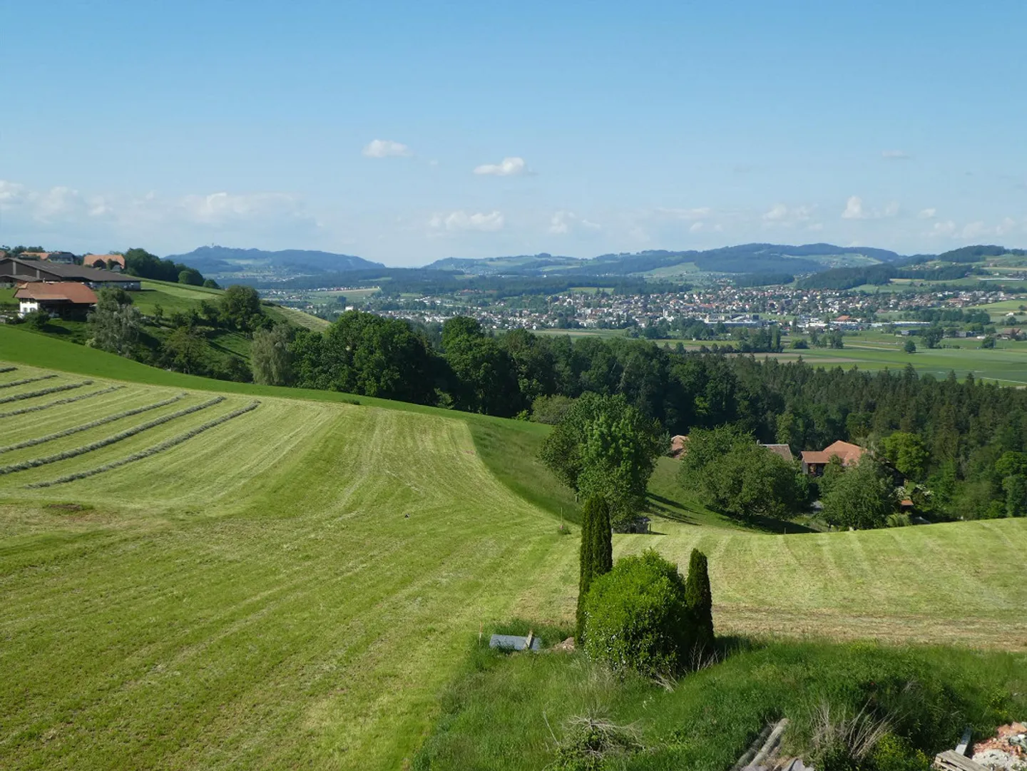 Charmante Wohnung in Grüner Lage - Foto 11 von 12