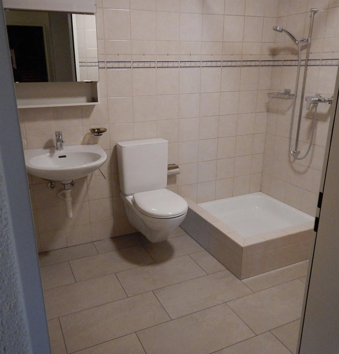 Grand appartement lumineux de 5 pièces - Photo 5 sur 7