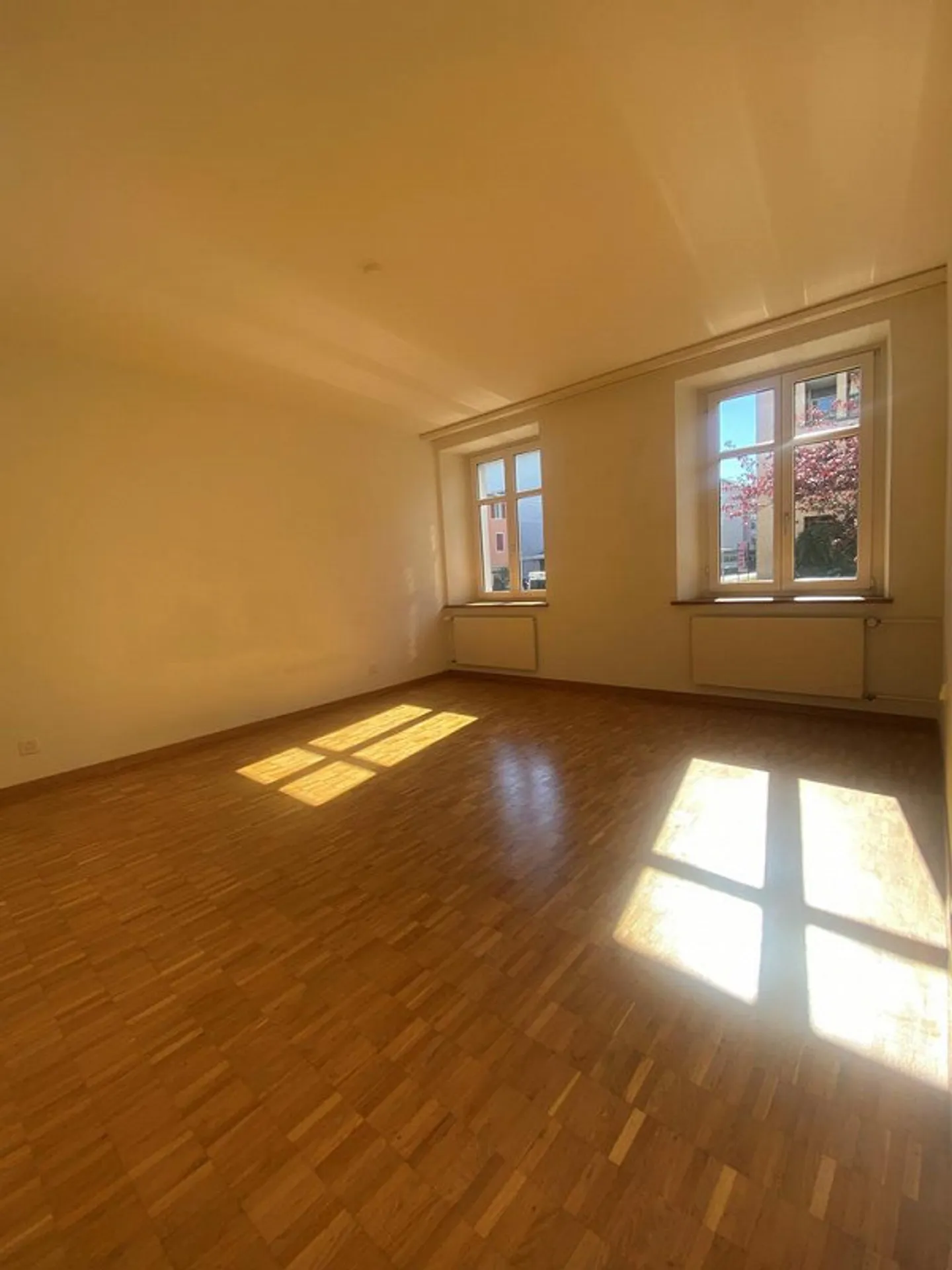Proximity to Winterthur Train Station - Modern Kitchen - Photo 3 of 4