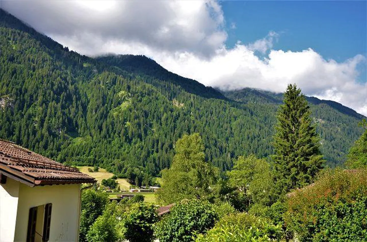 Casa Familiare Soleggiata con Giardino - Foto 36 di 61