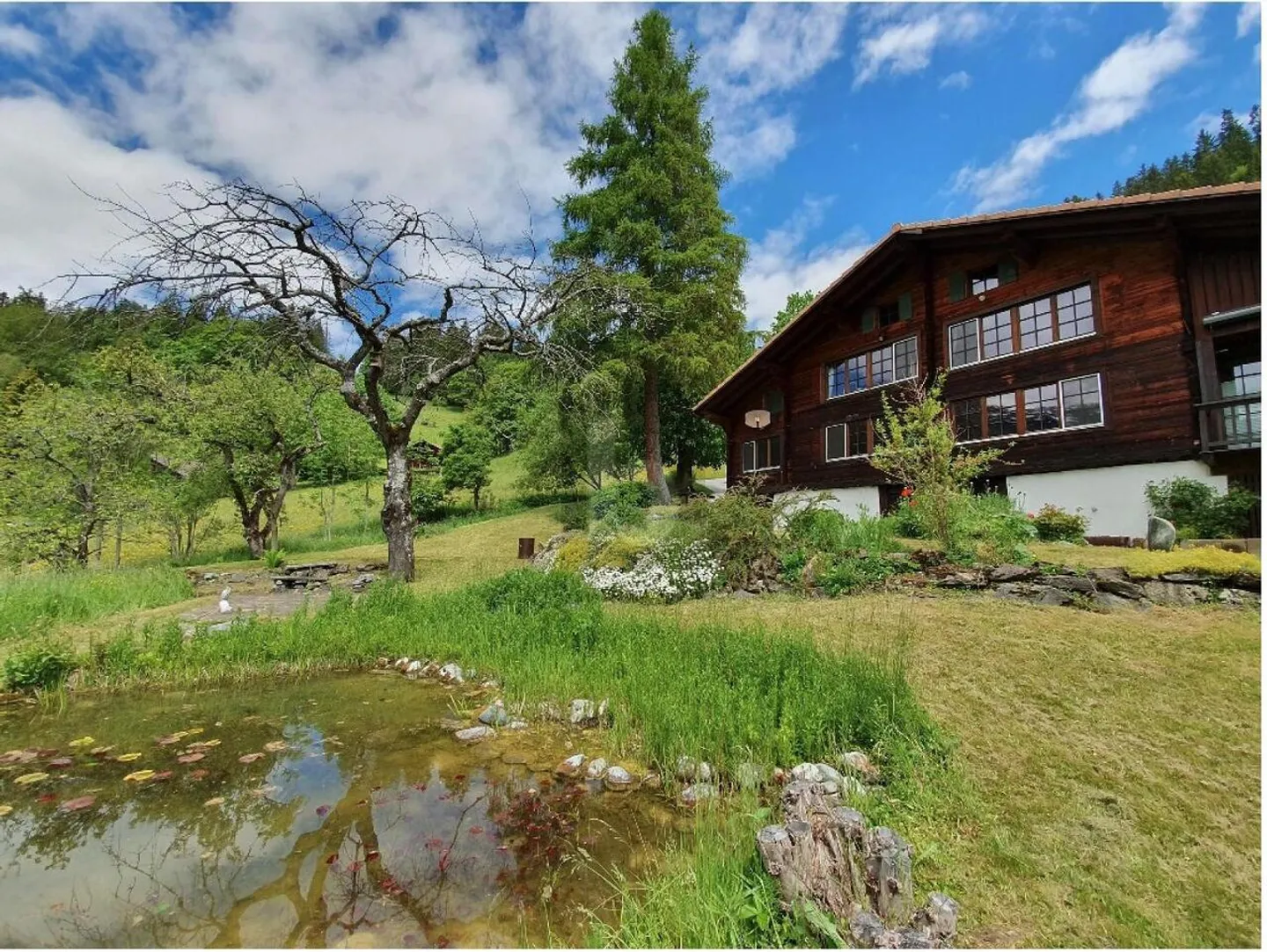 JEWEL IN THE UPPER LAND WITH BREATHTAKING VIEW - Photo 2 of 6