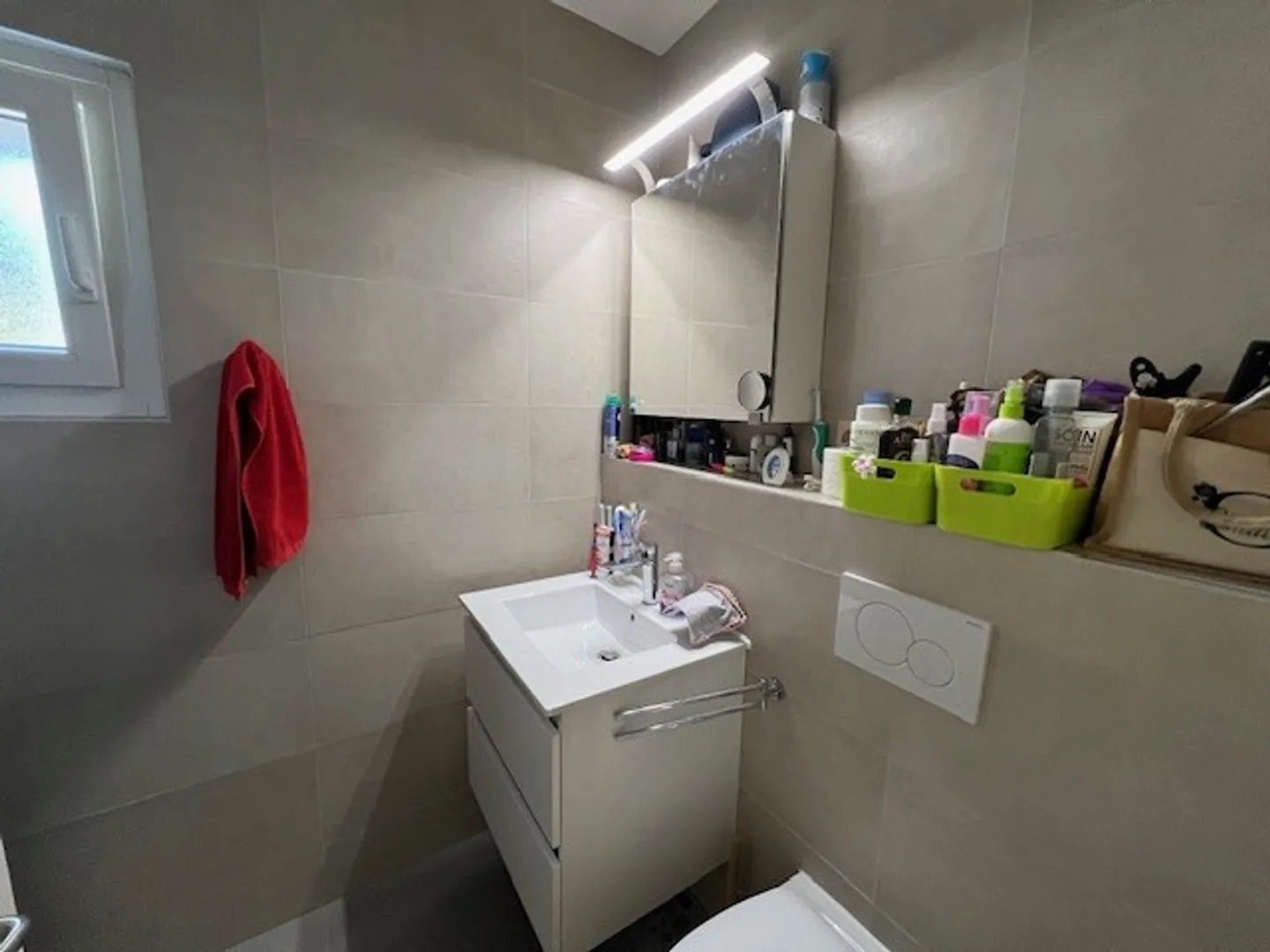 Renovated Apartment in Vouvry - Photo 3 of 7