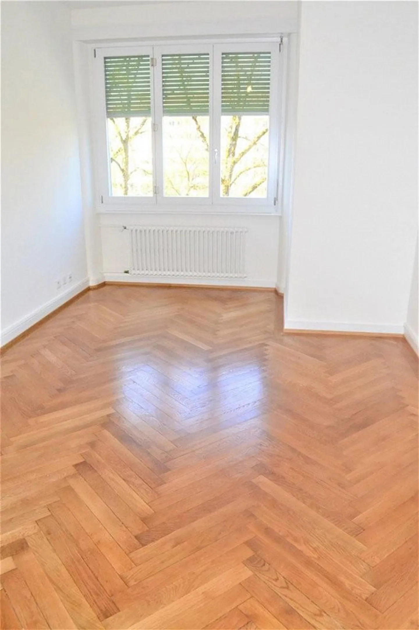 Rand der Arve - Foto 6 von 6