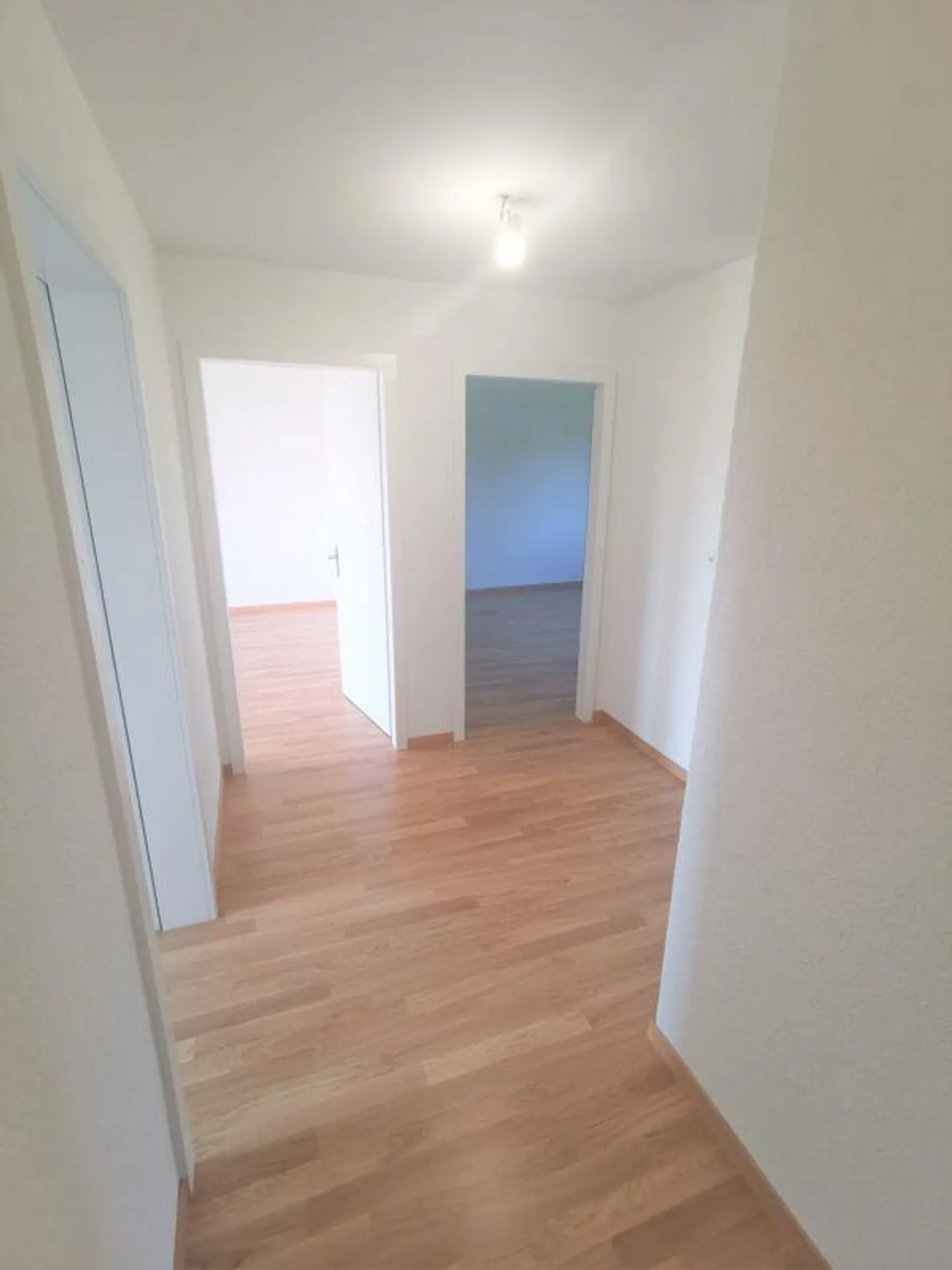 Charmante Wohnung in Allschwil - Foto 5 von 9