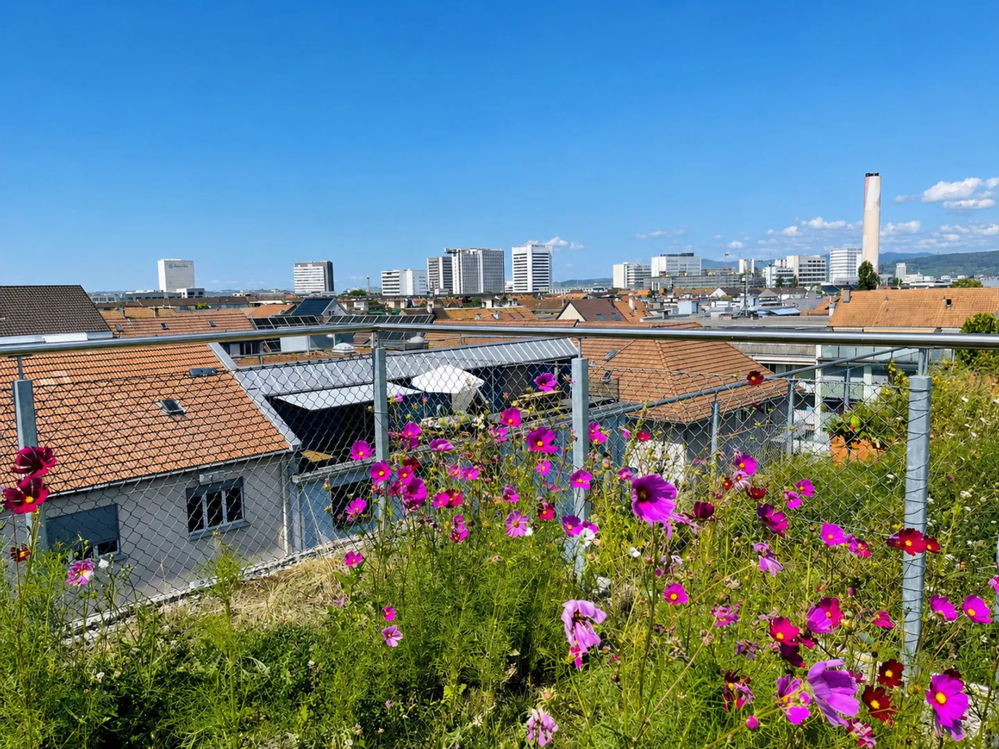 Vivere luminoso con giardino sul tetto e viste impressionanti - Foto 1 di 18