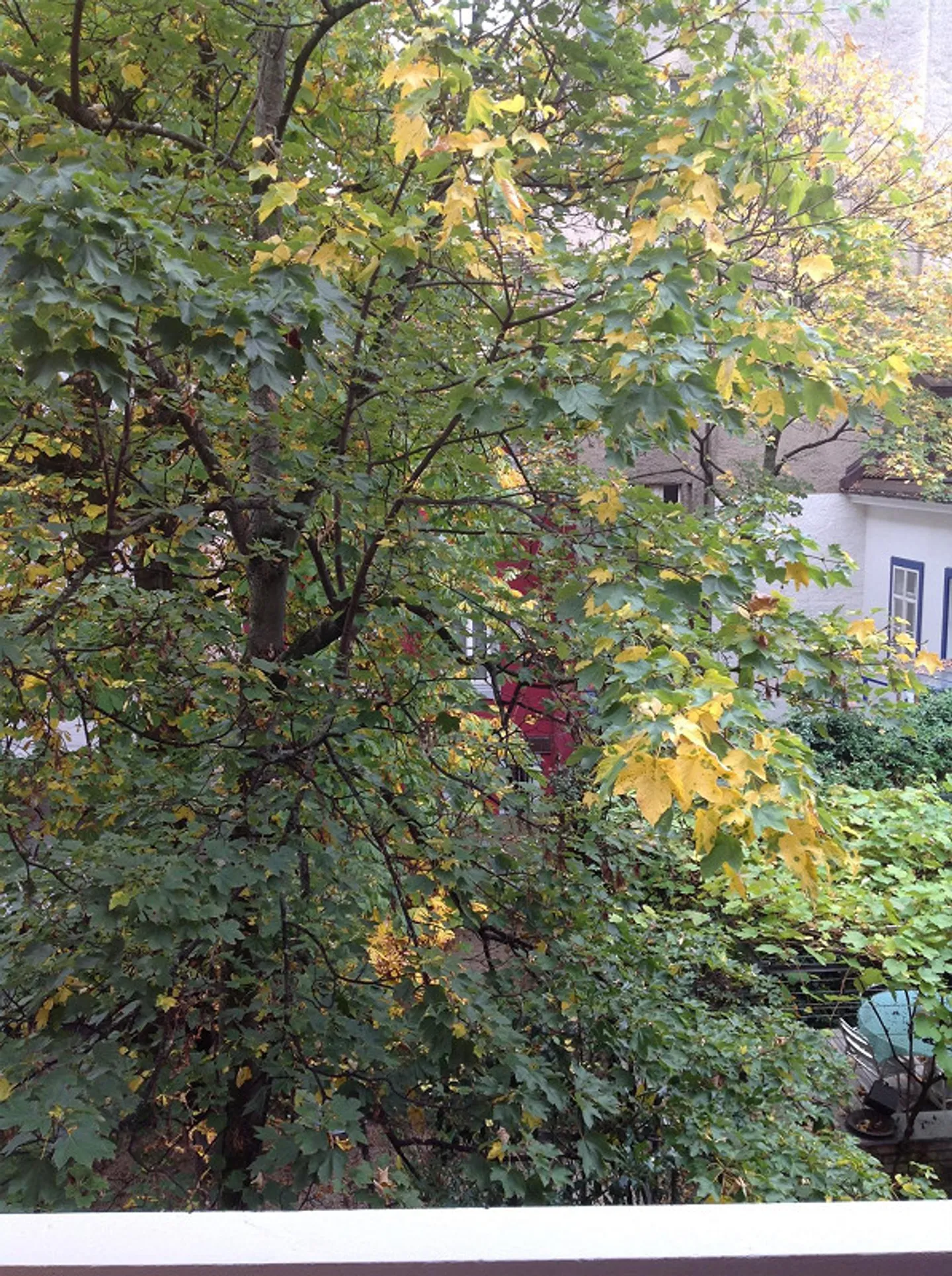 Charmante Wohnung mit Balkon - Foto 2 von 7