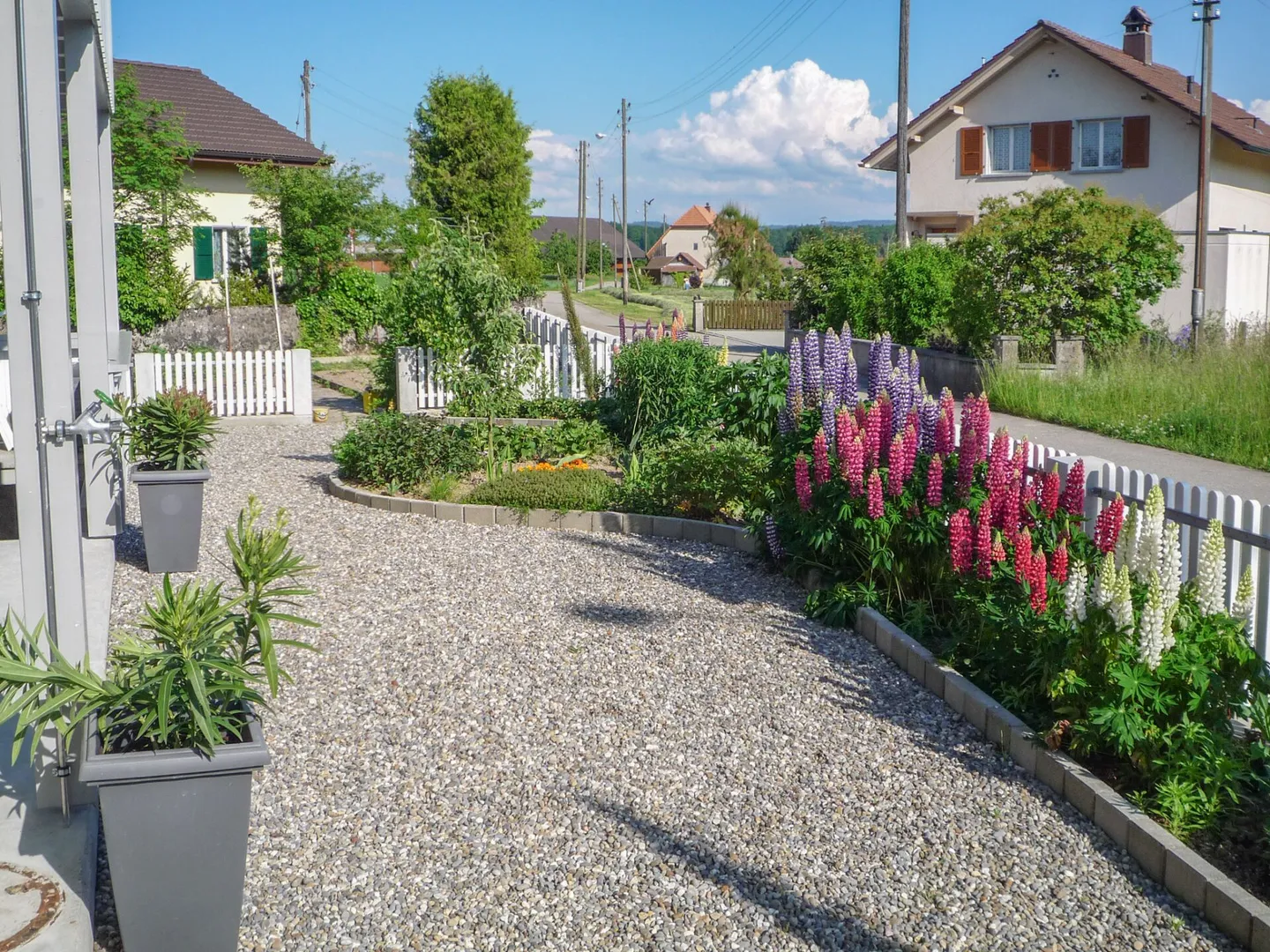 Expérience de vie exclusive avec une vue de rêve sur la verdure - Photo 34 sur 43