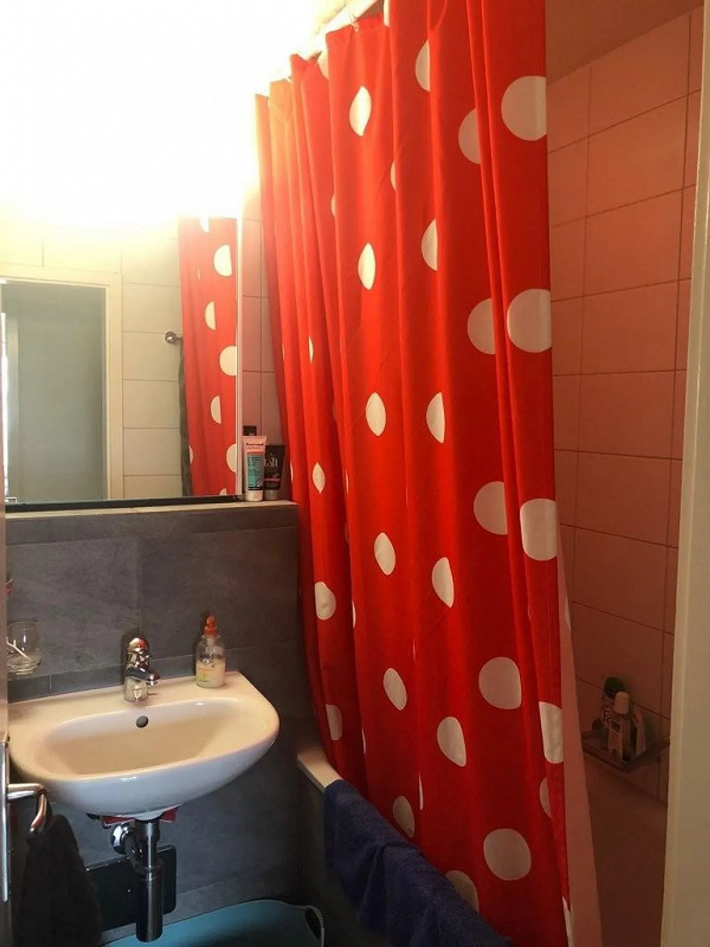 Accogliente appartamento in una posizione verde ma centrale! - Foto 3 di 6