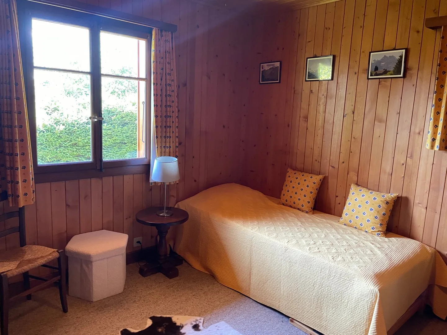 Pardal - Photo 11 sur 16