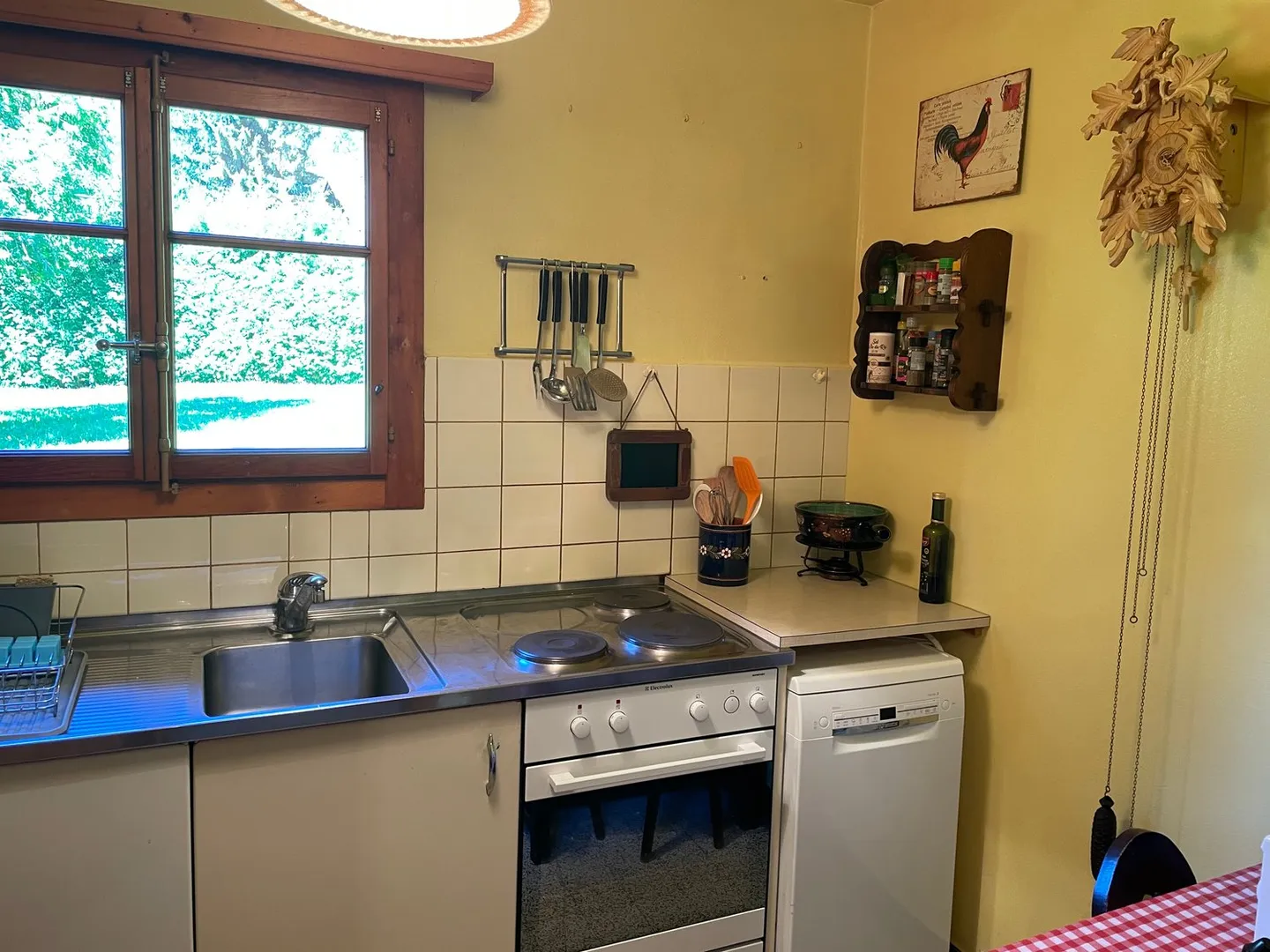 Pardal - Photo 8 sur 16