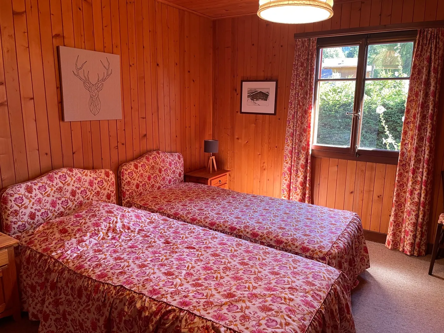 Pardal - Photo 9 sur 16