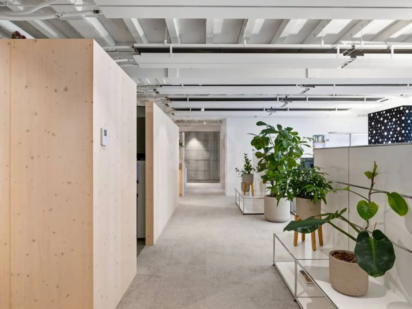 Office 3 rooms - Photo 8 of 11