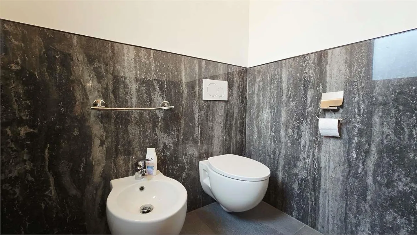 Modern Semi-Detached House with 2 Apartments - Photo 9 of 13