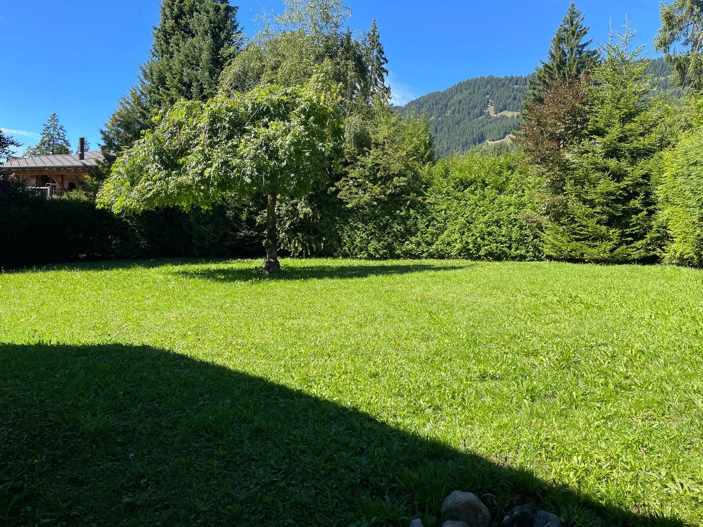 Pardal - Photo 15 sur 16