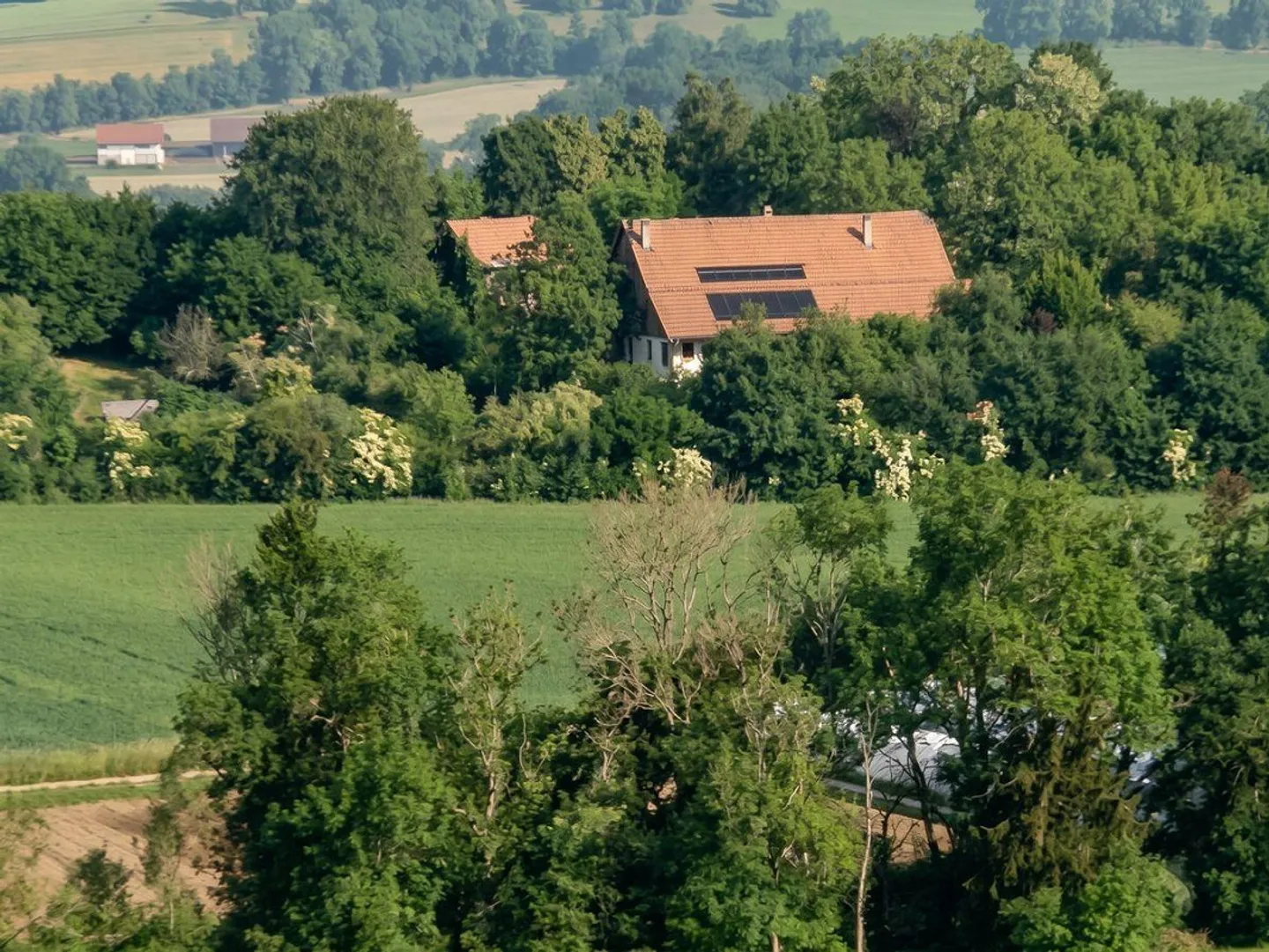Appartamento in vendita con terreno privato di 2126m2: Un'oasi nel cuore... - Foto 13 di 13