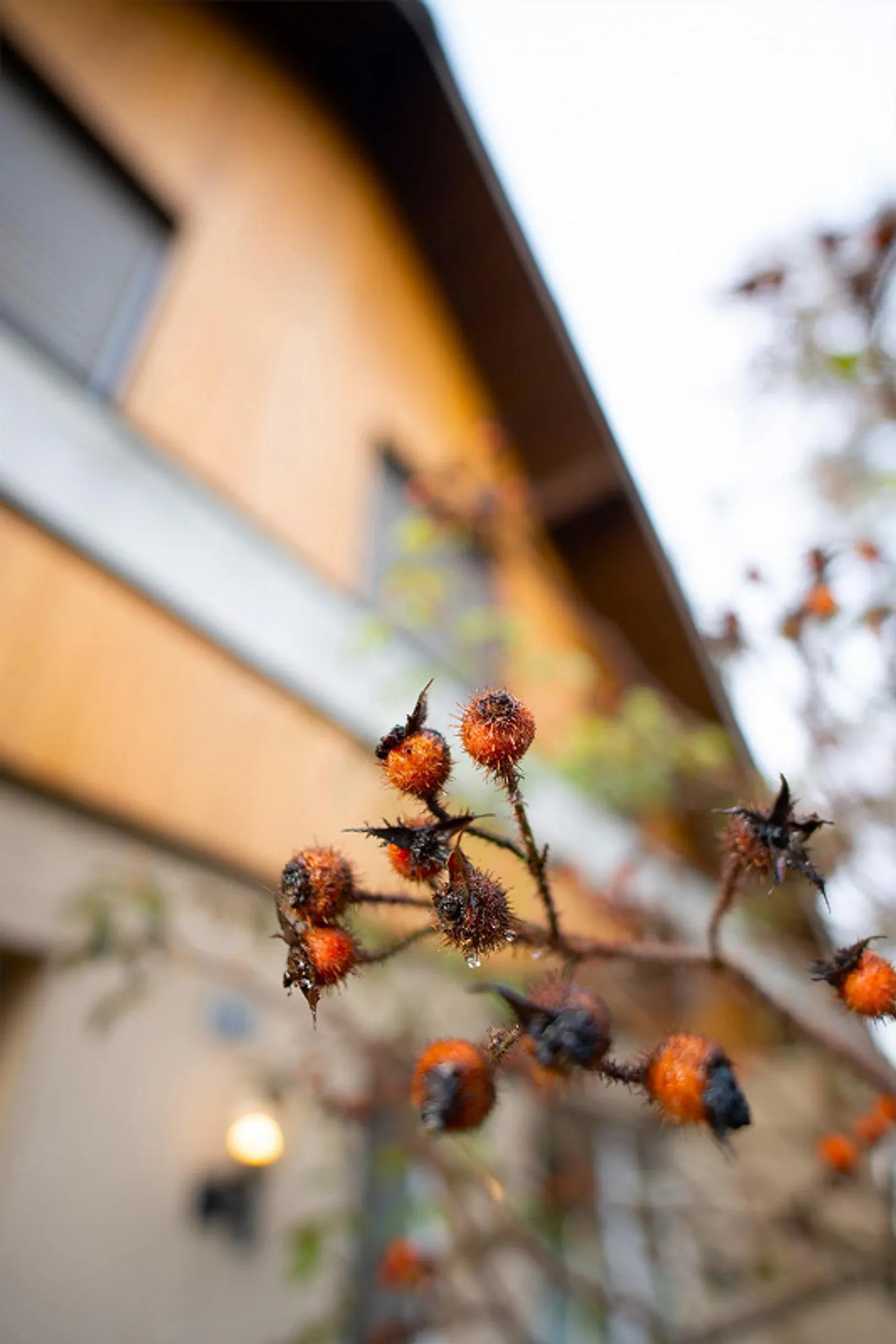 Qualité de vie et de logement dans un emplacement ensoleillé et calme - Photo 11 sur 12
