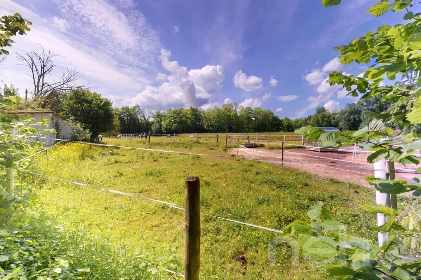 Two-family house in the countryside with 400 m² commercially usable shed - Photo 12 of 13