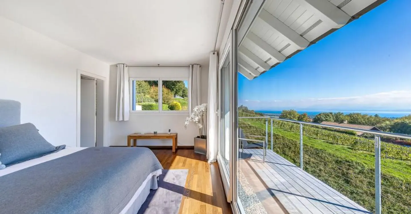 Very beautiful property with stunning views of the lake and Mont Blanc! - Photo 10 of 11