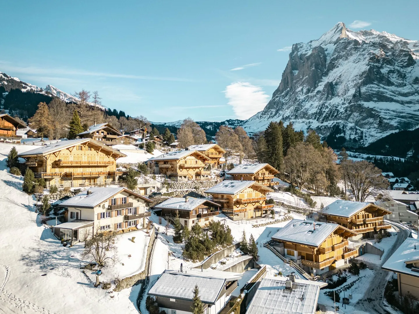 Ferien-Chalet Föhrlibuck - Foto 20 von 20