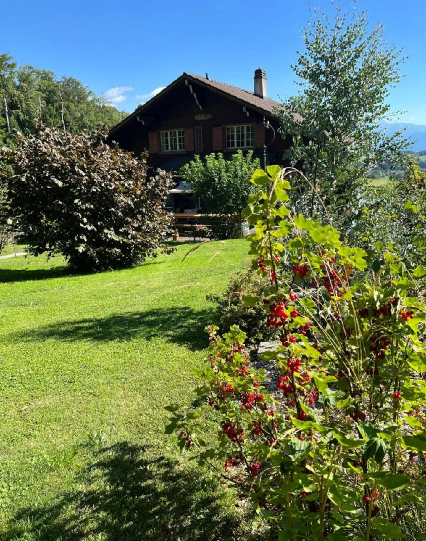 In the middle of nature and yet close to the facilities - Photo 5 of 13