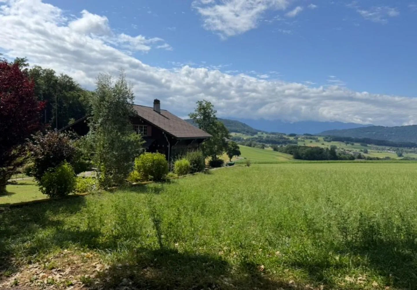 In the middle of nature and yet close to the facilities - Photo 3 of 13