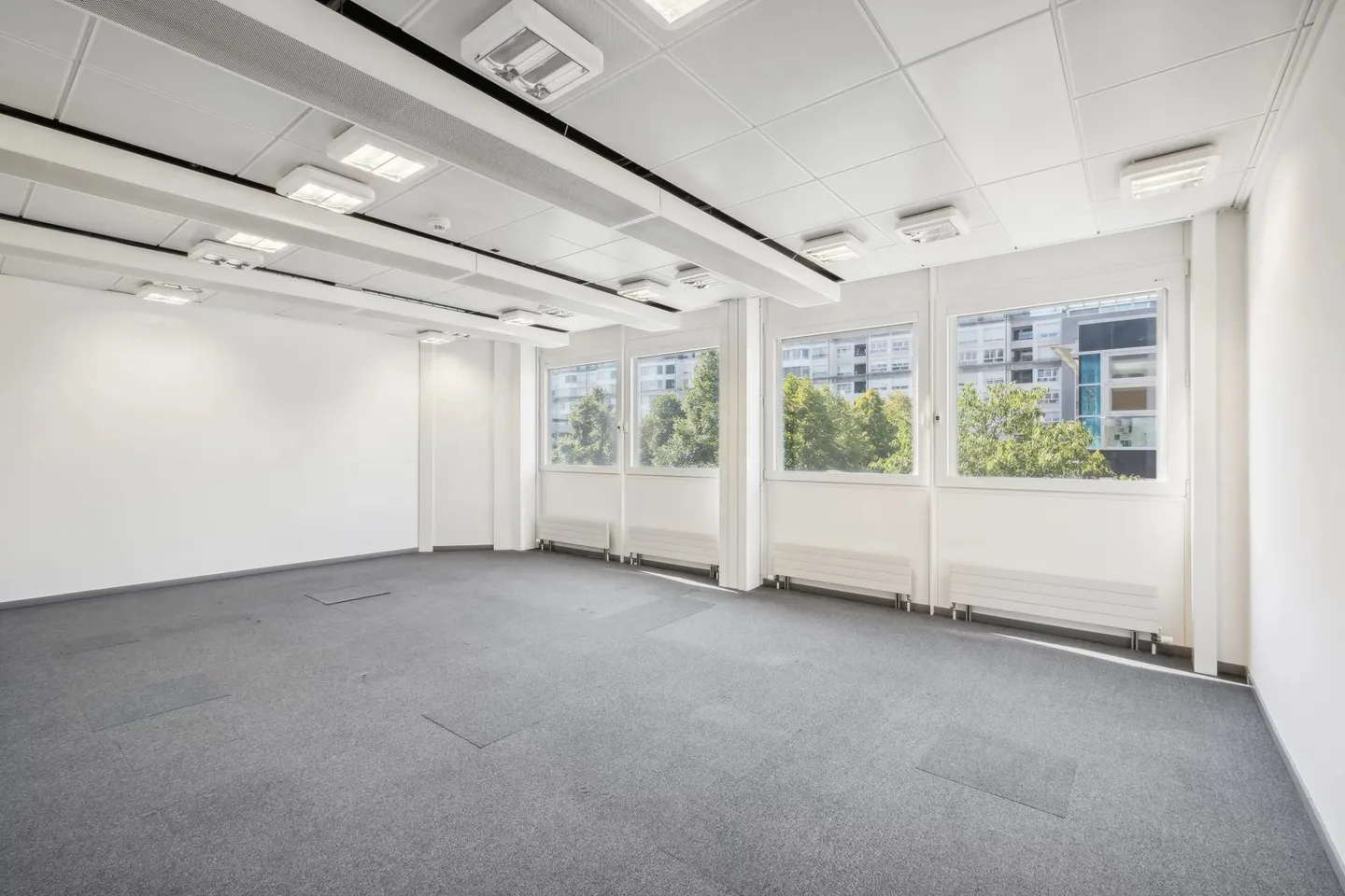 Flexible Office Space in Geneva - Photo 11 of 13