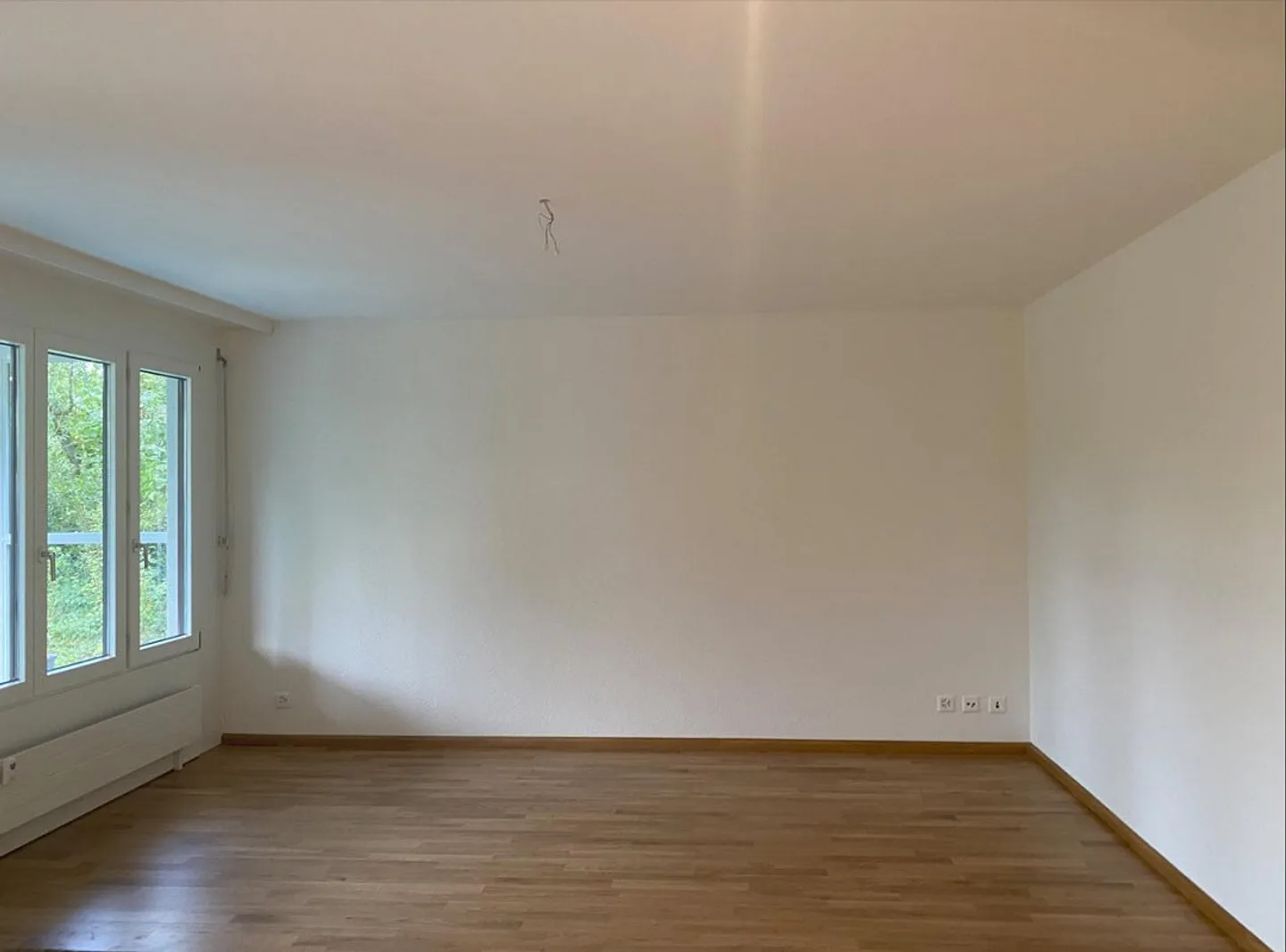 Newly renovated apartment with a view of greenery for rent - Photo 5 of 8