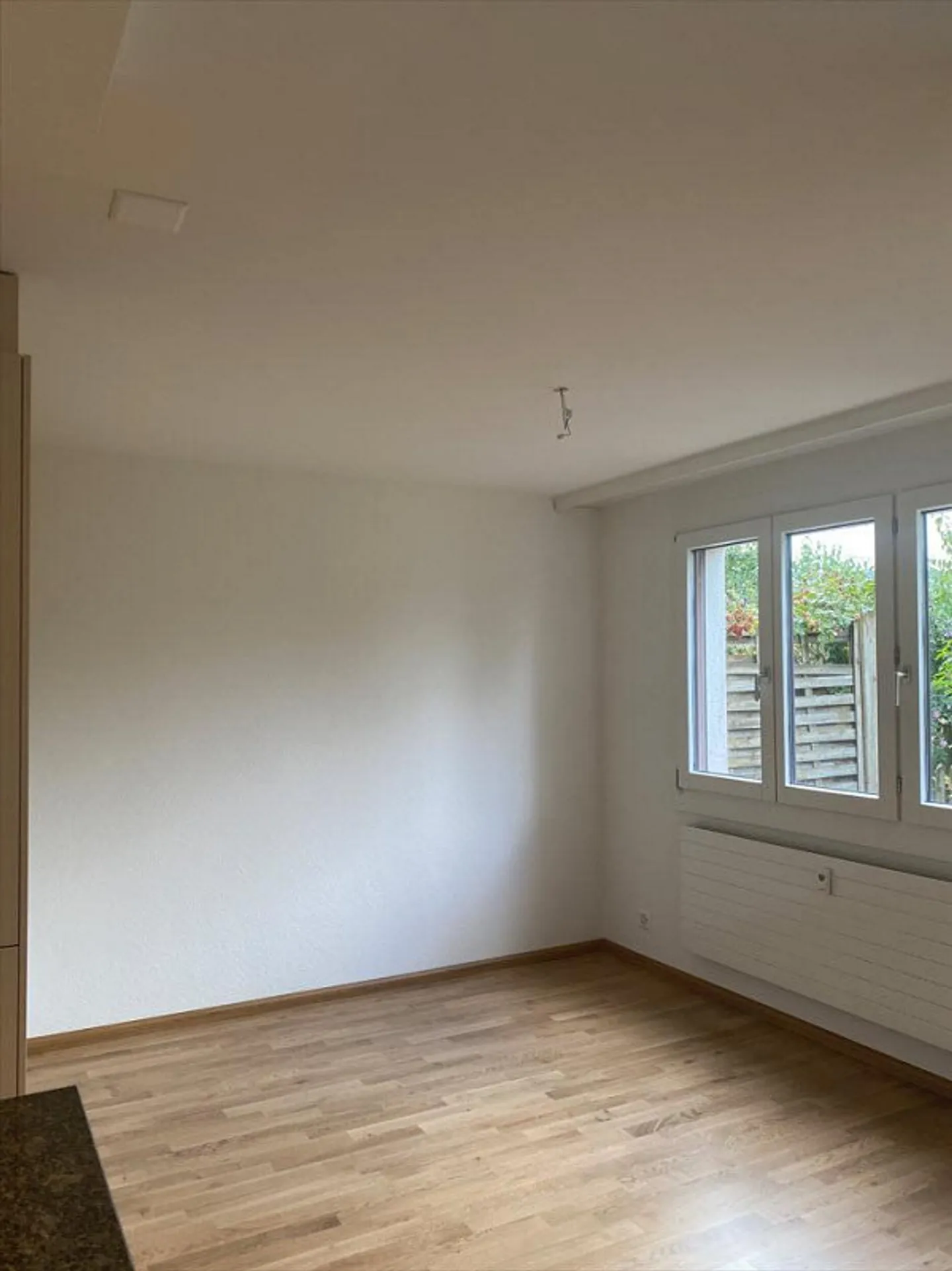 Newly renovated apartment with a view of greenery for rent - Photo 4 of 8