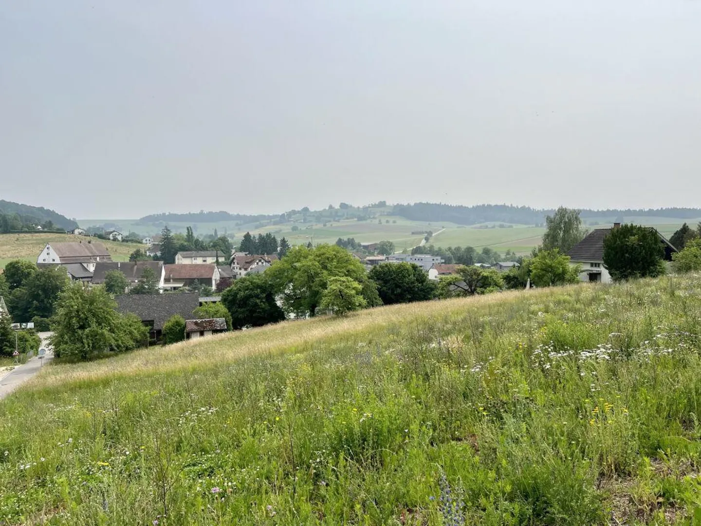 Lots of building land and property with large land area - Photo 1 of 13