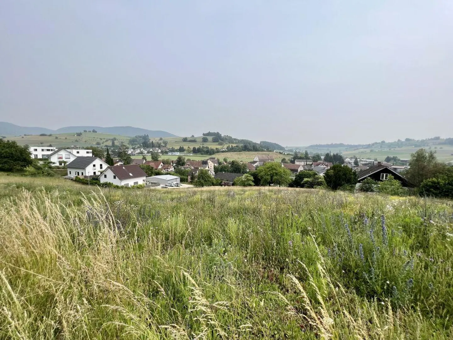 Lots of building land and property with large land area - Photo 2 of 13