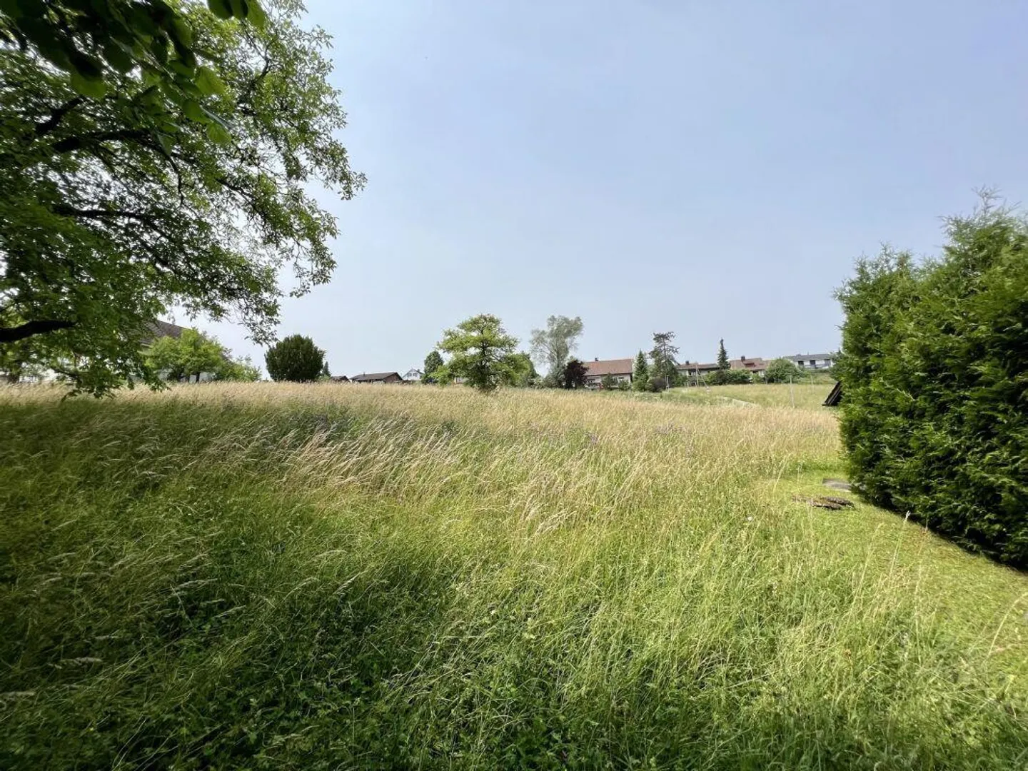 Lots of building land and property with large land area - Photo 3 of 13