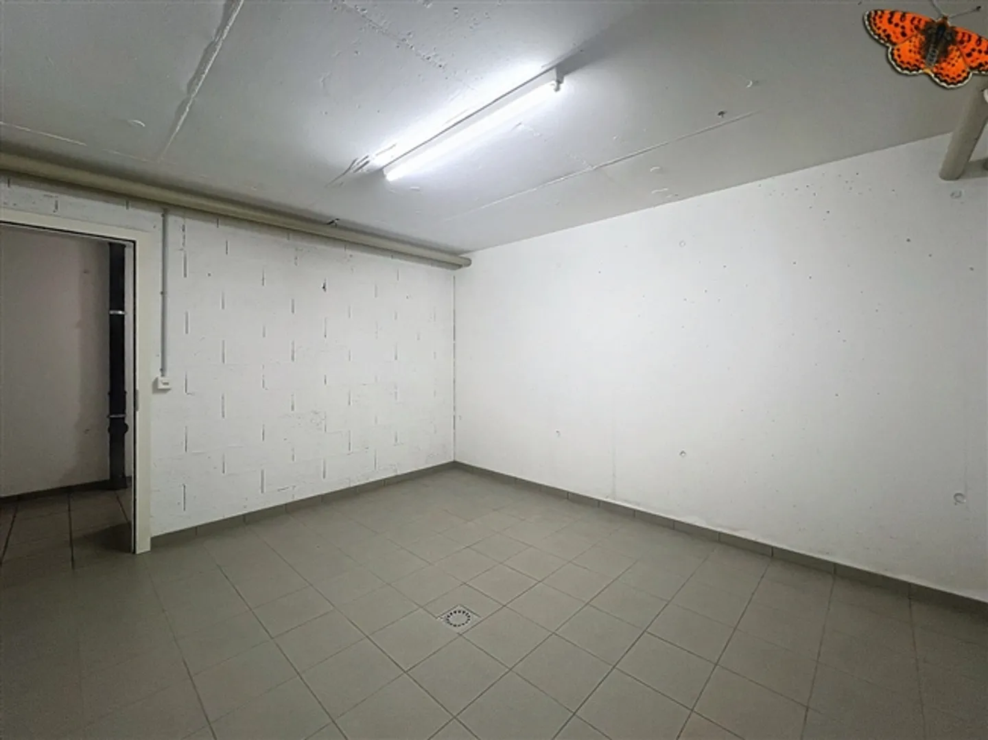 Deposito - Costruzione Sicura - Foto 4 di 4