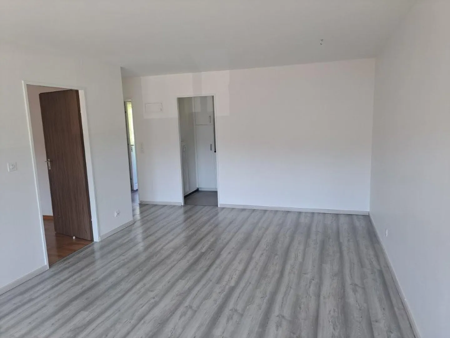 Are you looking for a renovated 52m3 large apartment with a big balcony? - Photo 4 of 13
