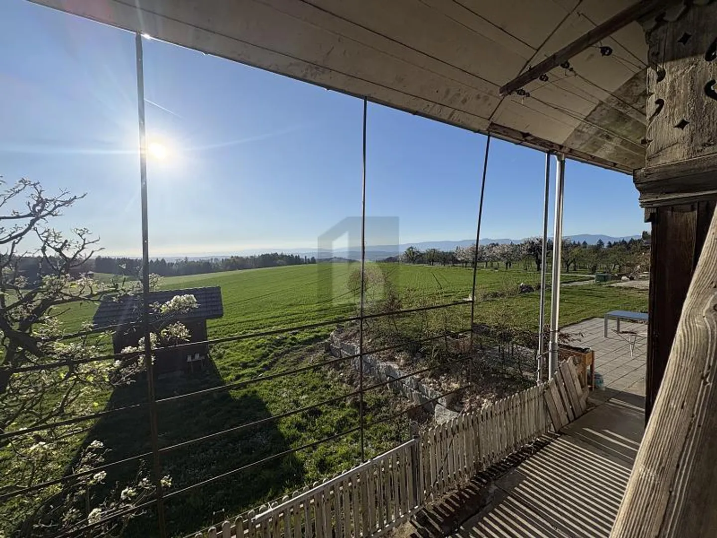 Charmant dans le vert - Photo 1 sur 6