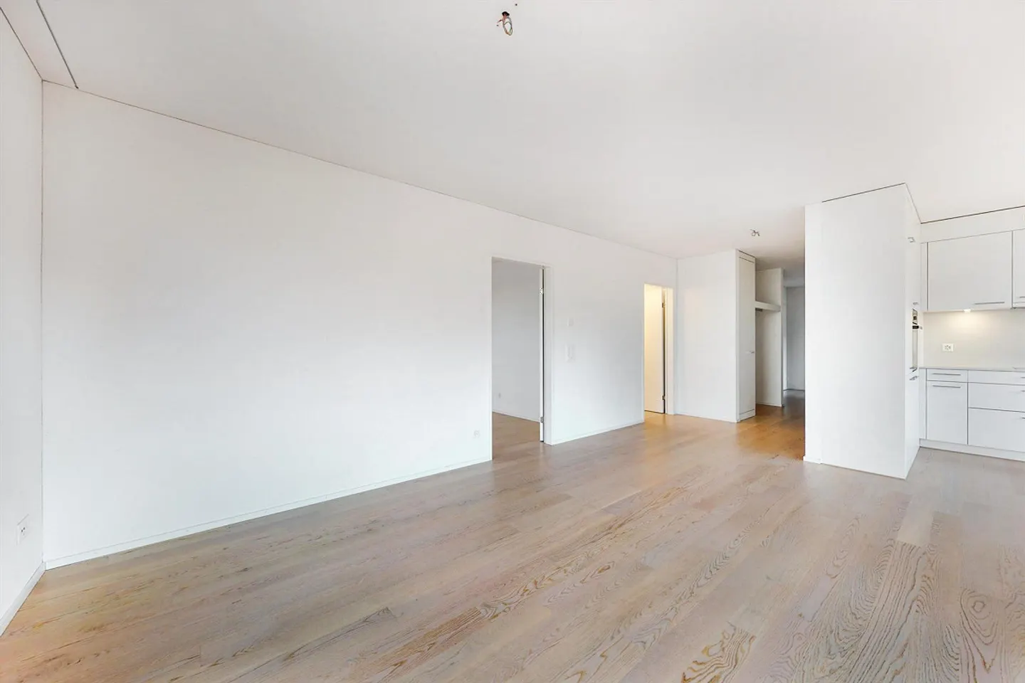 Modern Living in Lausen - Photo 4 of 8