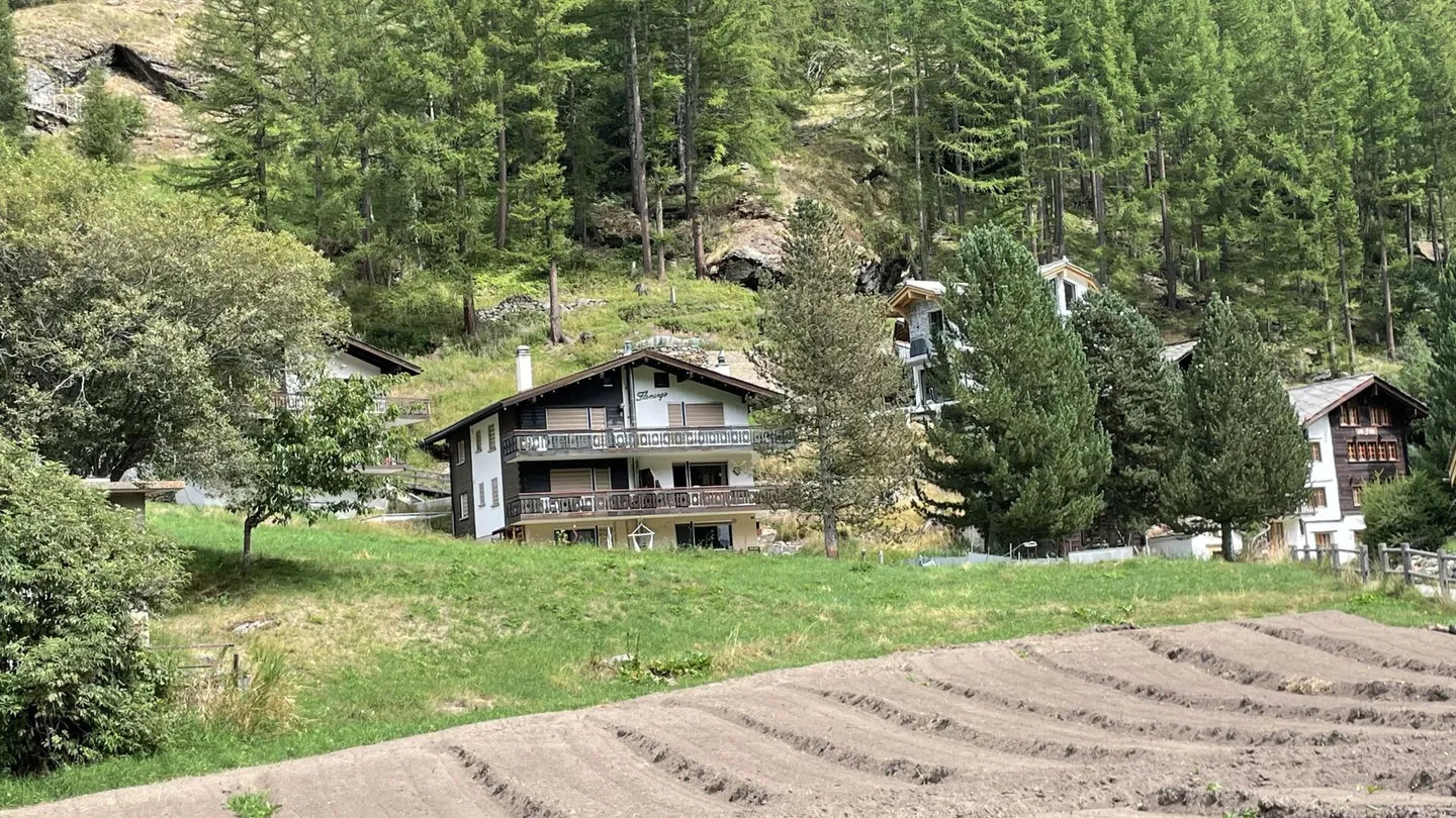 Zen Lauinen Saas-Grund con l'E-Ski Bus senza cambi per l'Alpinexpress con gratuito - Foto 3 di 11
