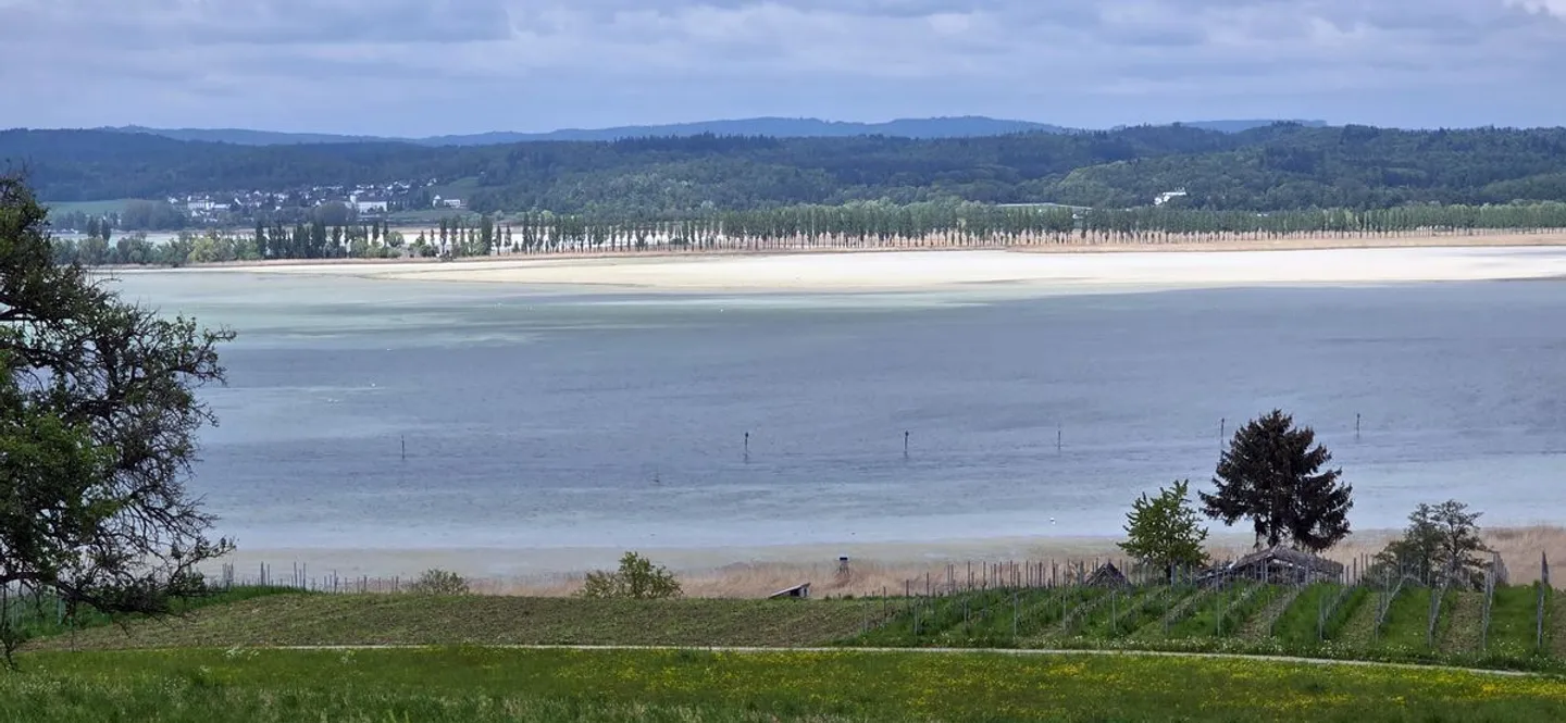 Charming Property with Lake Views - Photo 8 of 9