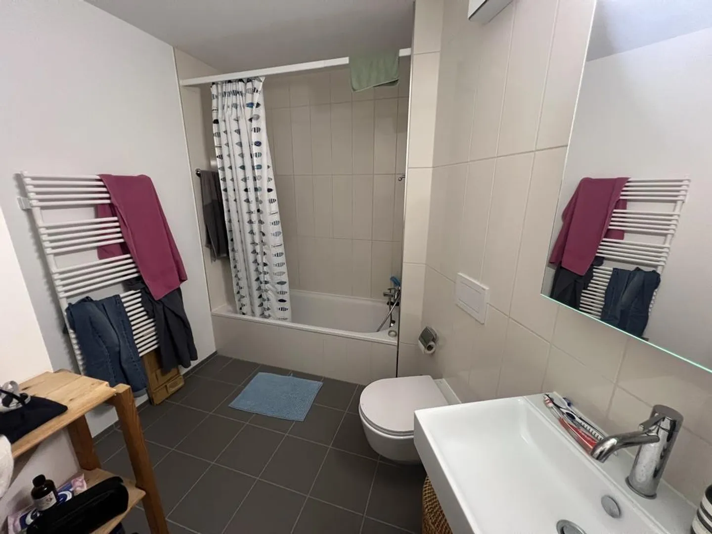 Appartamento moderno di 2,5 stanze a Zurigo Wiedikon - Foto 3 di 7